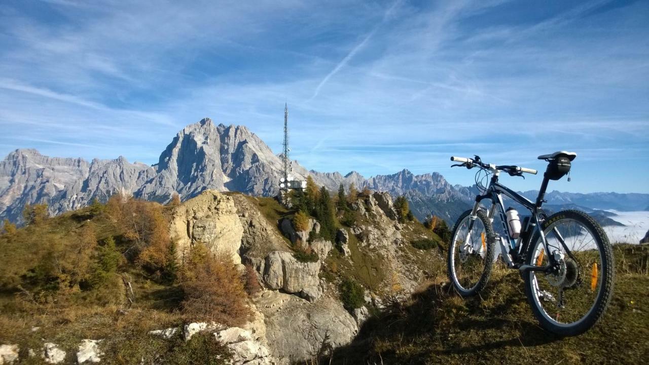 Hotel Belvedere Dolomiti Pieve di Cadore Exterior foto